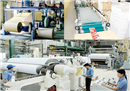 Import turnover of paper products grow